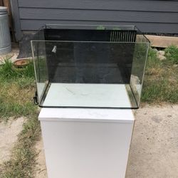 Salt Water Fish Tank