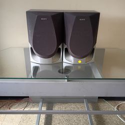 Two 12 inch Sony speakers