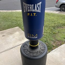 Everlast FIT Punching Bag 