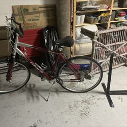 Giant Cypress Bike, Red & Gray, Large Size