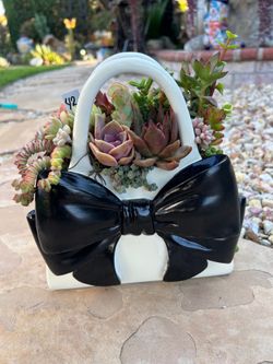 Mother’s Day Succulent arrangement