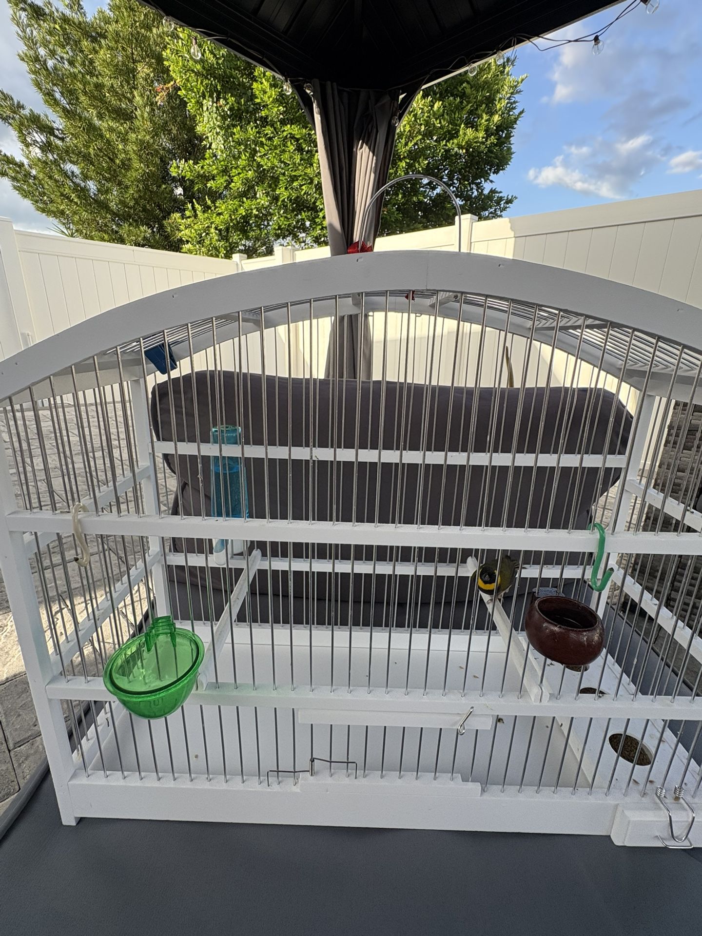 Bird Cage