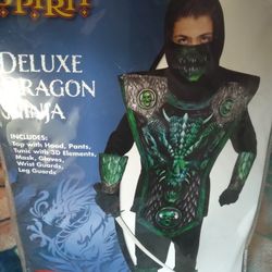 Boys Dragon Ninja