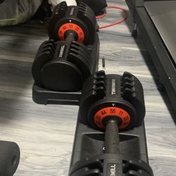Adjustable Dumbbells 55lbs