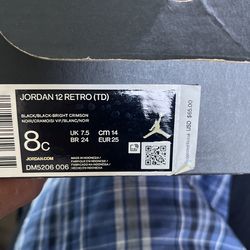 Jordan Retro 12 TD