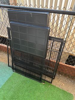 Kennel