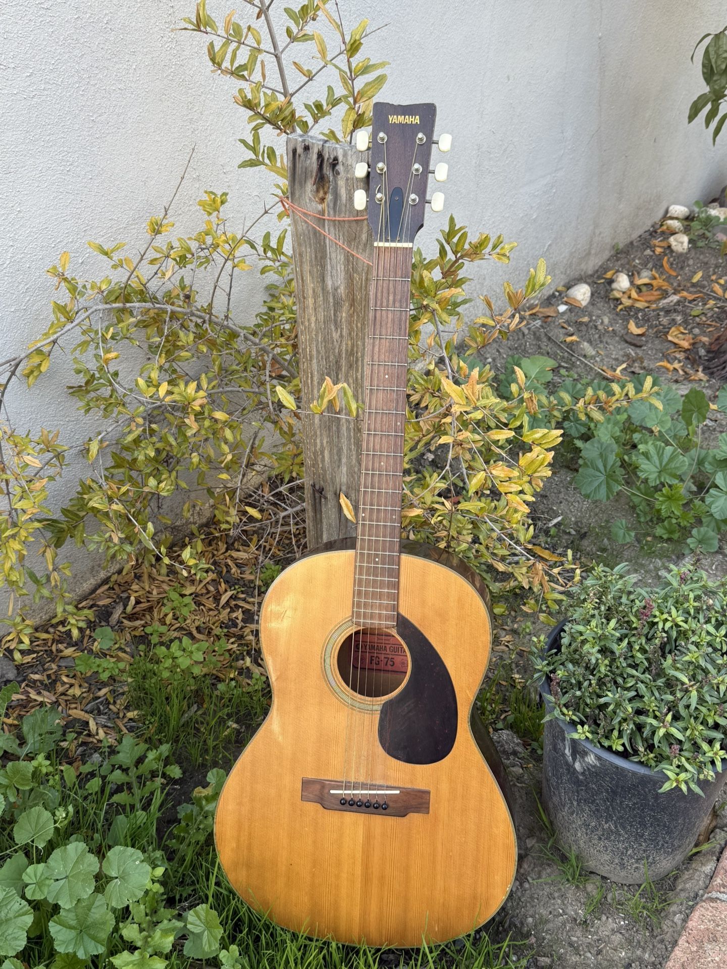 Yamaha Acoustic Guitar. 🎸 