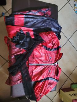Descendants Red Costume