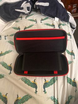 Nintendo switch traveling case