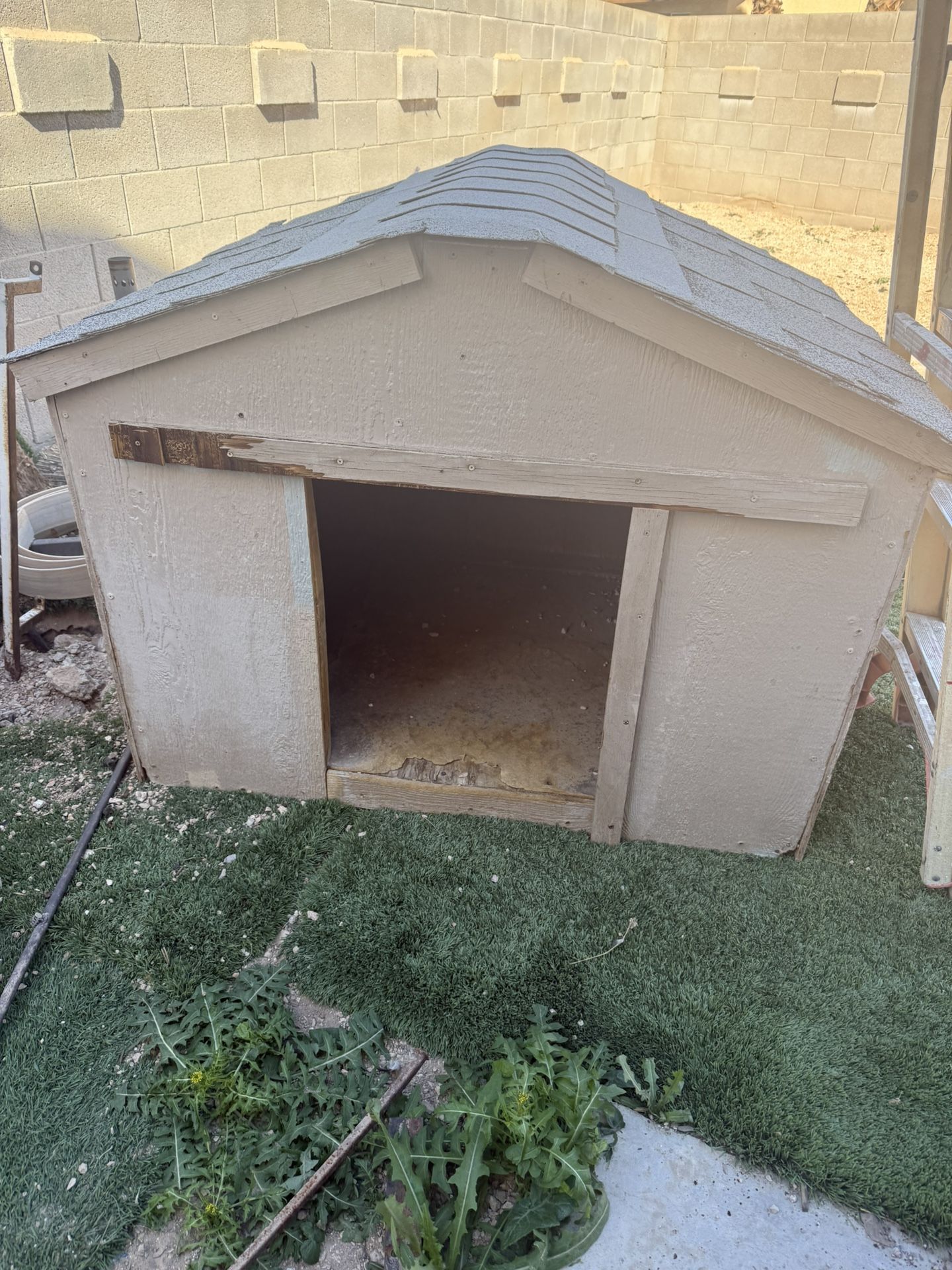 Dog House