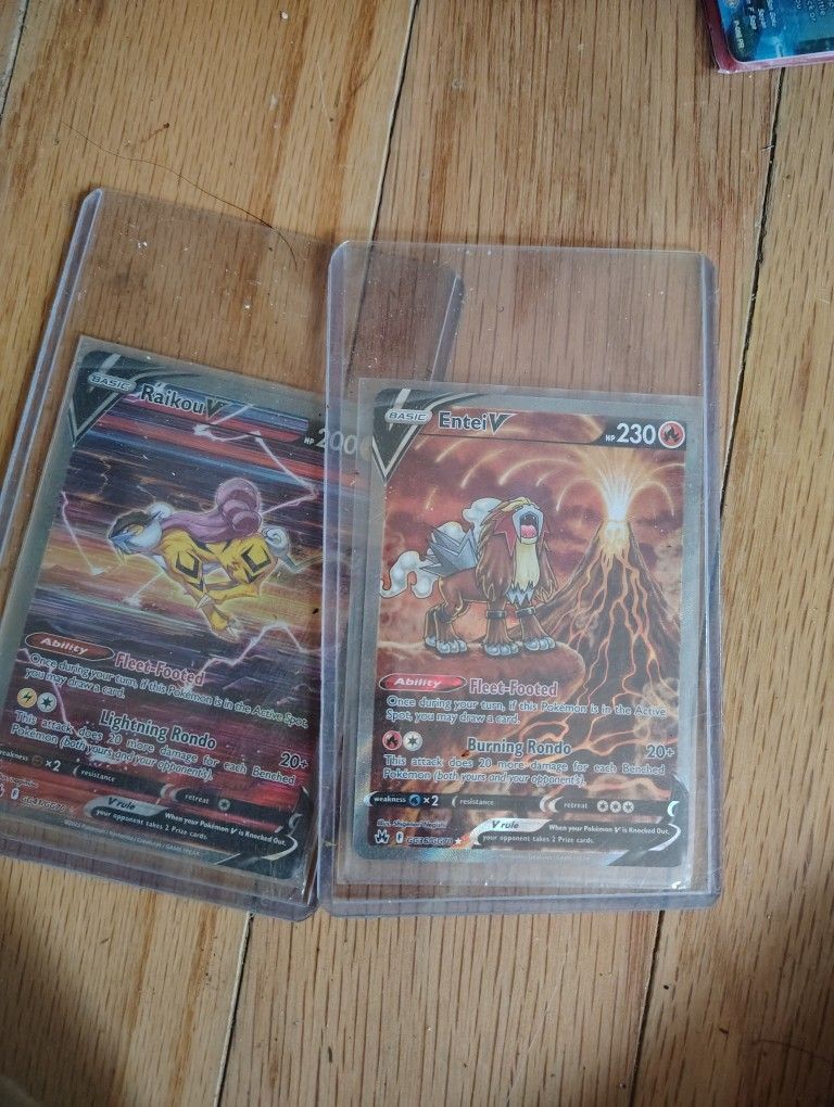 Entei And RaikouV