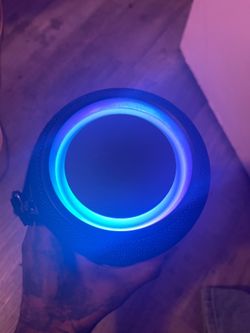 Party speaker