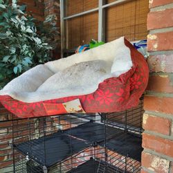 Rabbit And Accessories 