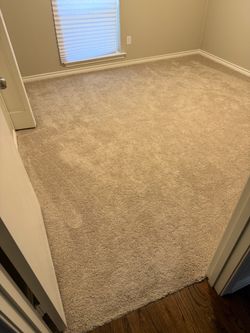 New Carpet/Pad - 785 Sq Feet - $300
