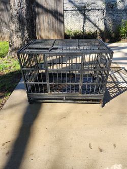 Kennel