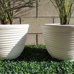 Terracotta Planters 8 Gallon 2 for $50 FREE DELIVERY IN SD 