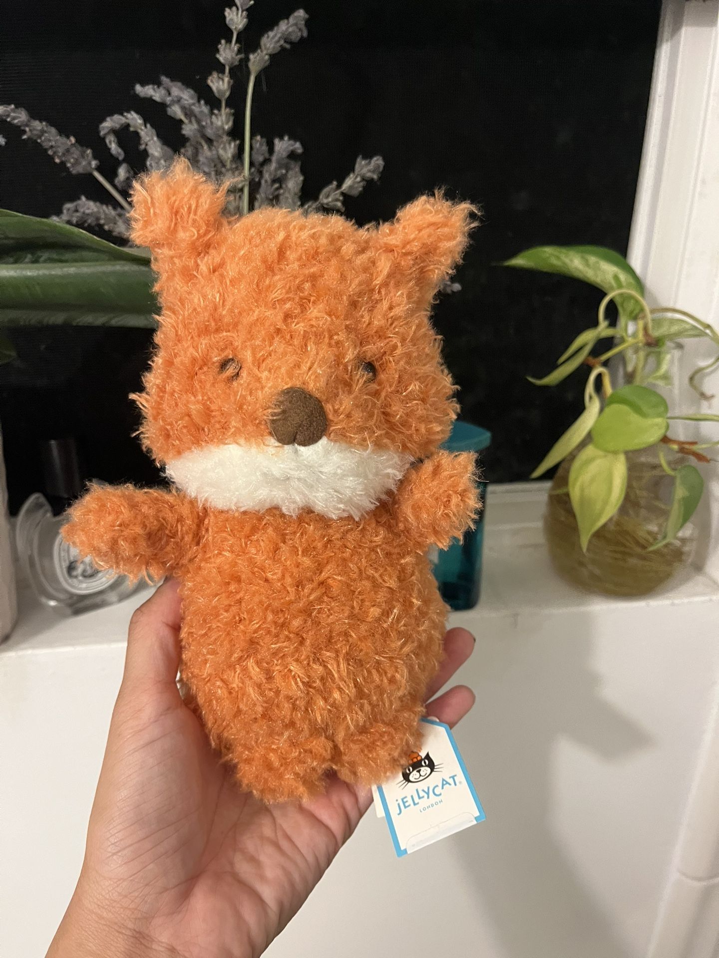 jelly cat - small fox