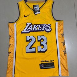 Mens Lakers Lebron James Jersey #23