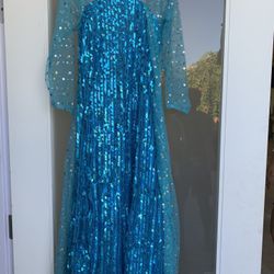 Elsa Costume