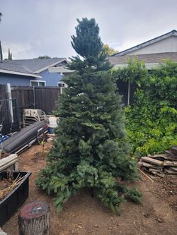 Artificial life like Christmas trees