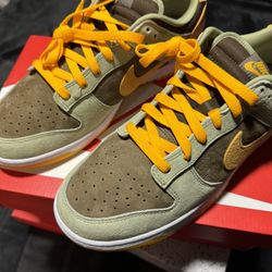 Nike Low Dunk Size 10.5