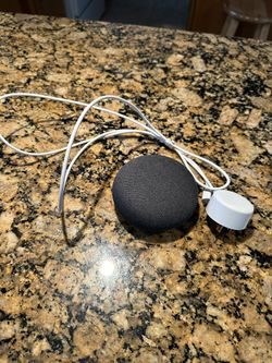 Google Nest Mini