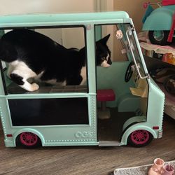 Our Generation Ice Cream Truck 