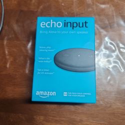 Echo Input