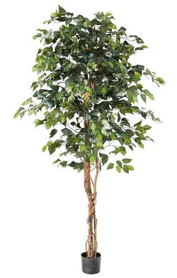 6 ft Artificial Ficus Tree