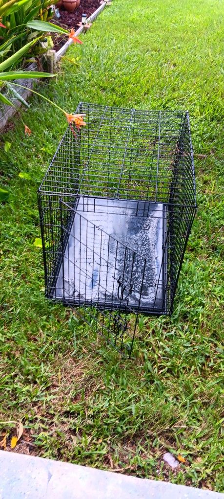 Dog Crate Used 3 Months.