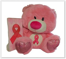2PC CANCER BEAR PLUSH + NOTEPAD SET