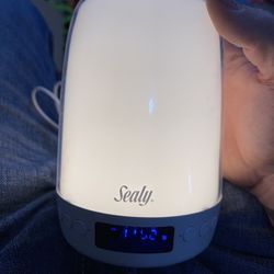 Sealy Night Light