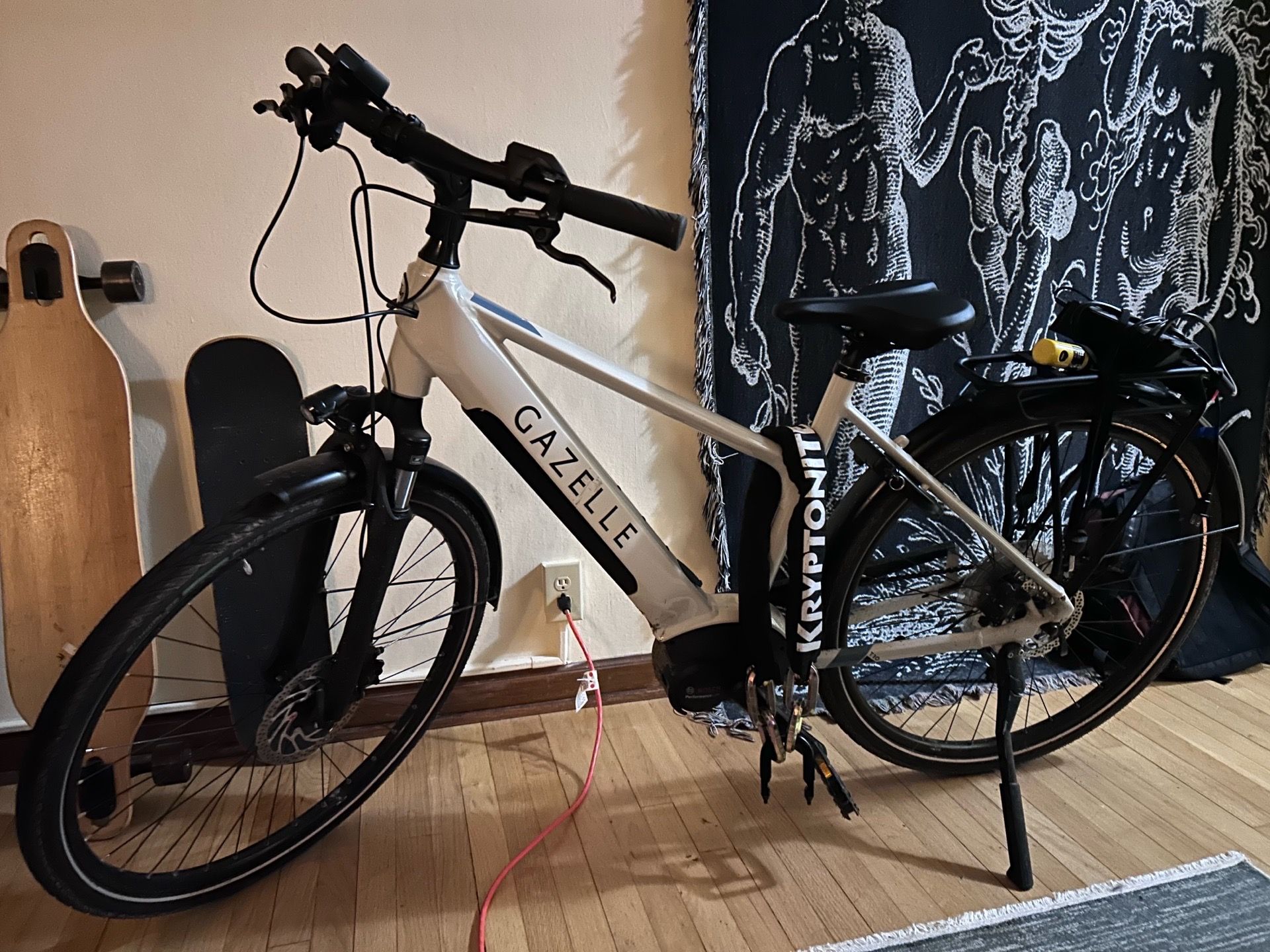 Gazelle Madeo T10