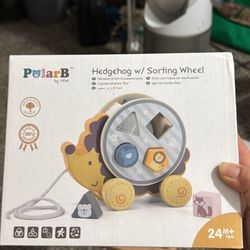 Kids Hedge Hog Pull Toy