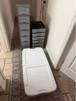 Organizing bins