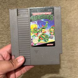 Teenage Mutant Ninja Turtles NES