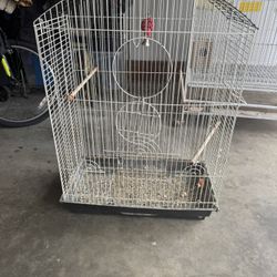 Bird Cage