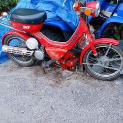 Suzuki 1983