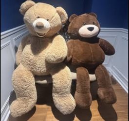 Bears