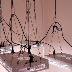 SS260 LED INDOOR GROW LIGHTS WITH EXTRAS