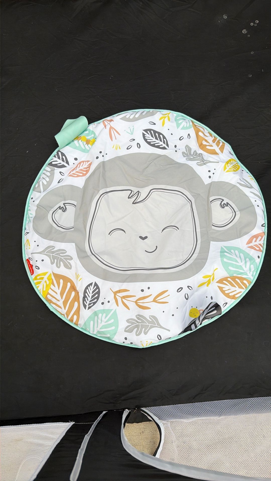 Fisher-Price Play Mat