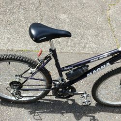 MAGNA Great Divide DH-1 Series 18 Speed Index Shifting