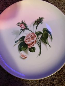 Dinner plates