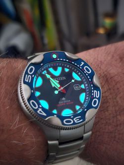 Citizen orca