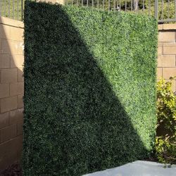 Grass Wall