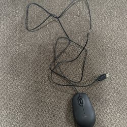 Dell Mouse