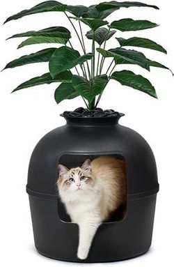 Cat box with odor control.