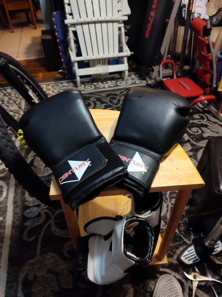 Century Boxing Gloves.