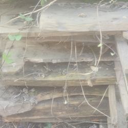 Live Edge Pine Slabs