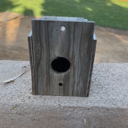 Bird nest 